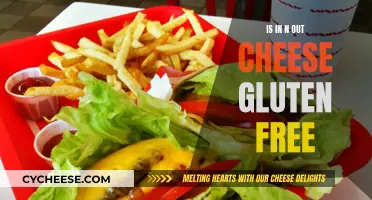 Gluten-Free Diet: In-N-Out Cheese Options