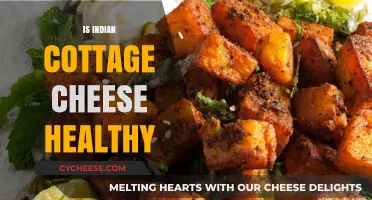 Is Indian Cottage Cheese Healthy? Nutrition Facts and Benefits Revealed