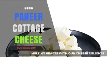 Is Indian Paneer Cottage Cheese? Unraveling the Dairy Confusion