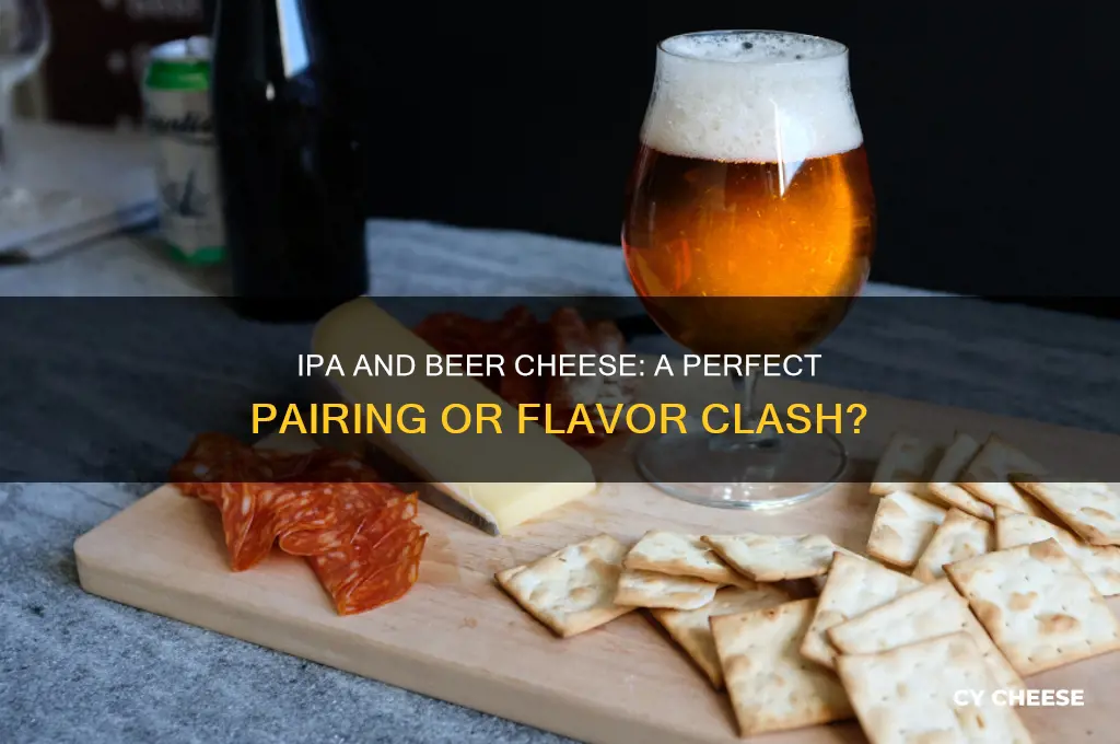 is ipa good for beer cheese