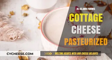 Is Island Farms Cottage Cheese Pasteurized? Facts You Need to Know