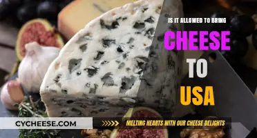 Can You Bring Cheese to the USA? Travel Rules Explained