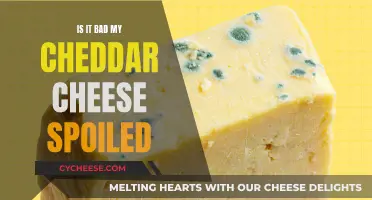 Cheese Gone Wrong: Dealing with Cheddar's Unexpected Spoilage