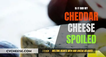 Cheddar Cheese Spoiled: What Does It Mean?