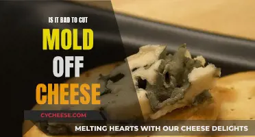 Cheese Mold: Cut or Toss?