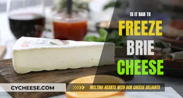 Freezing Brie: Is It Worth It?