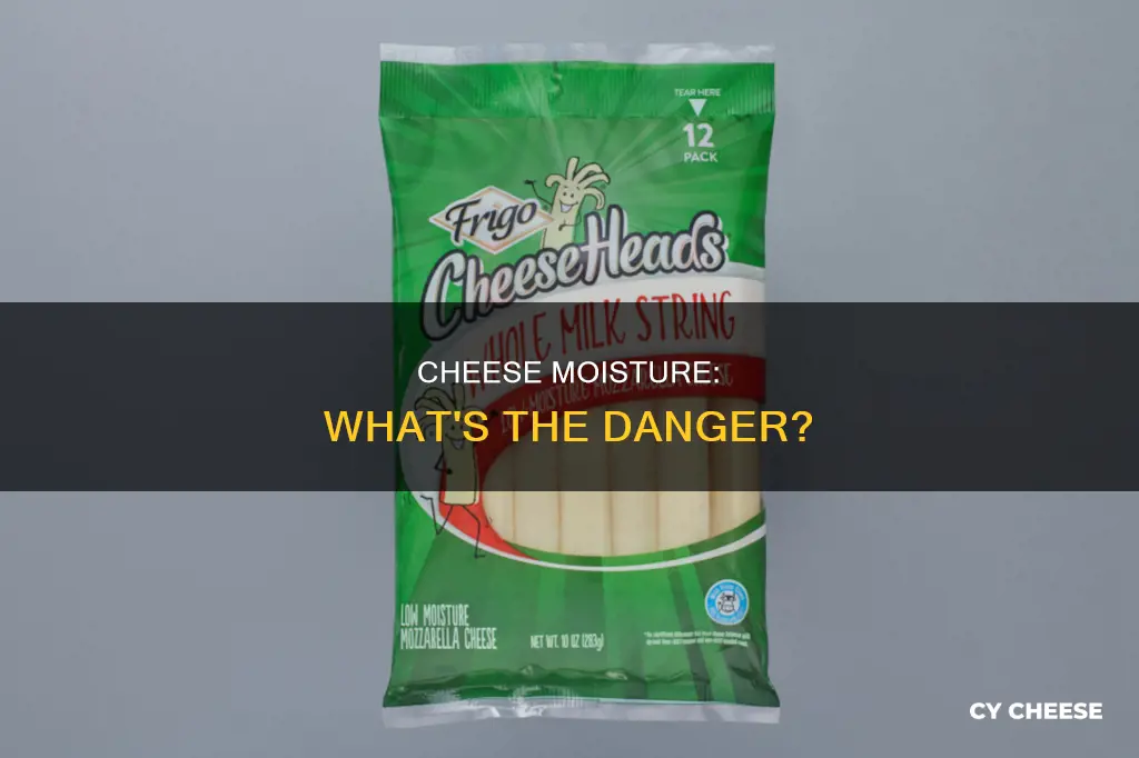 is it bad to have moisture in bag of cheese