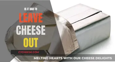 Cheese Left Out: Is It Still Safe to Eat?