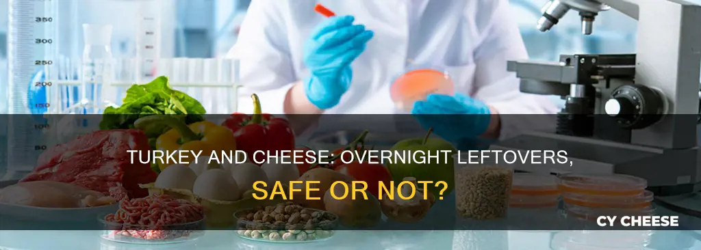 is it bad to leave turkey and cheese out overnight