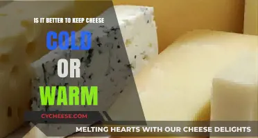 Chilling Cheese: Cold vs. Warm Storage for Optimal Flavor and Freshness