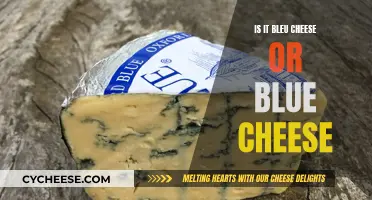 The Mystery of Bleu Cheese: Is It Really Blue?