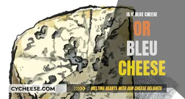 The Great Debate: Blue Cheese or Bleu Cheese?