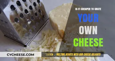 Grating Your Own Cheese: Cost-Effective or Time-Consuming Choice?