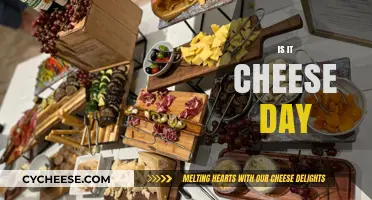 Celebrating Cheese Day: Facts, Fun, and Favorite Cheesy Delights