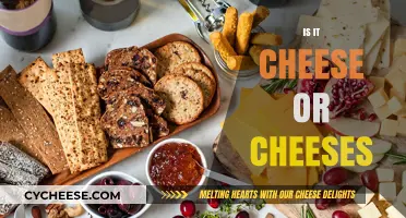 Cheese or Cheeses: Unraveling the Plural Puzzle in Dairy Delights