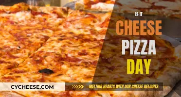 Cheese Pizza Delight: A Day to Indulge