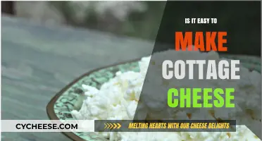 Making Cottage Cheese at Home: Simple Steps for Creamy Results