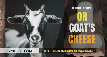 Goat Cheese Conundrum: Apostrophe or Not?