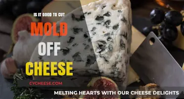 Should You Cut Mold Off Cheese? Safety Tips and Risks