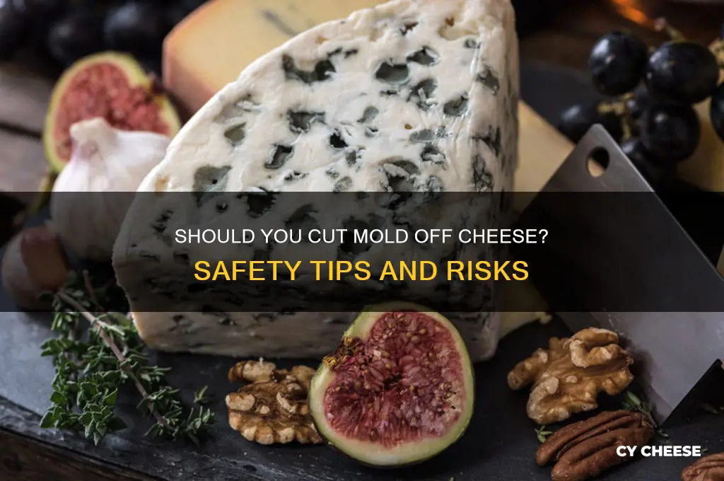 is it good to cut mold off cheese