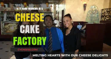 Challenges and Rewards of Working in a Cheesecake Factory