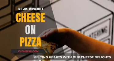 The Magic of Mozzarella and Other Cheeses on Pizzas