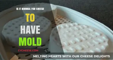 Is Mold on Cheese Normal? Understanding Cheese Aging and Safety