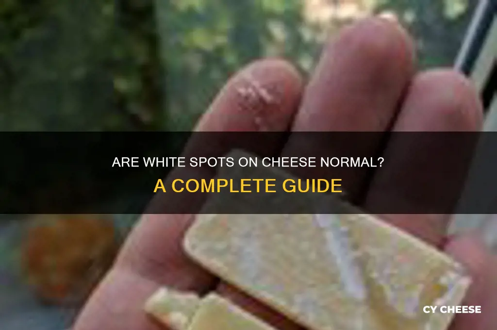is it normal for cheese to have white spots