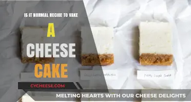 Is It Normal to Bake a Cheesecake? Exploring the Recipe Debate