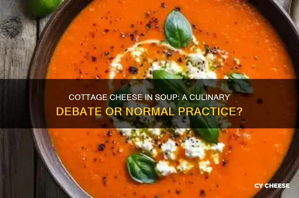is it normal to put cottage cheese in soup