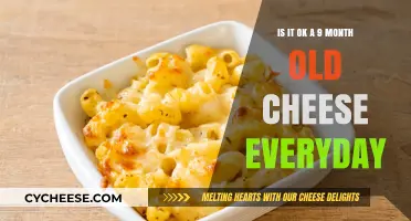 Can a 9-Month-Old Safely Eat Cheese Daily? Expert Insights