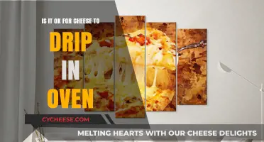 Is It Okay for Cheese to Drip in the Oven?