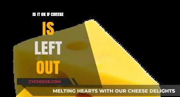 Is It Safe to Leave Cheese Out? A Food Safety Guide