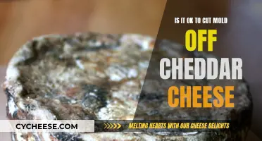Moldy Cheddar: Cut or Toss?