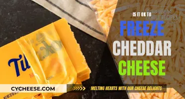 Freezing Cheddar: Is It a Good Idea?