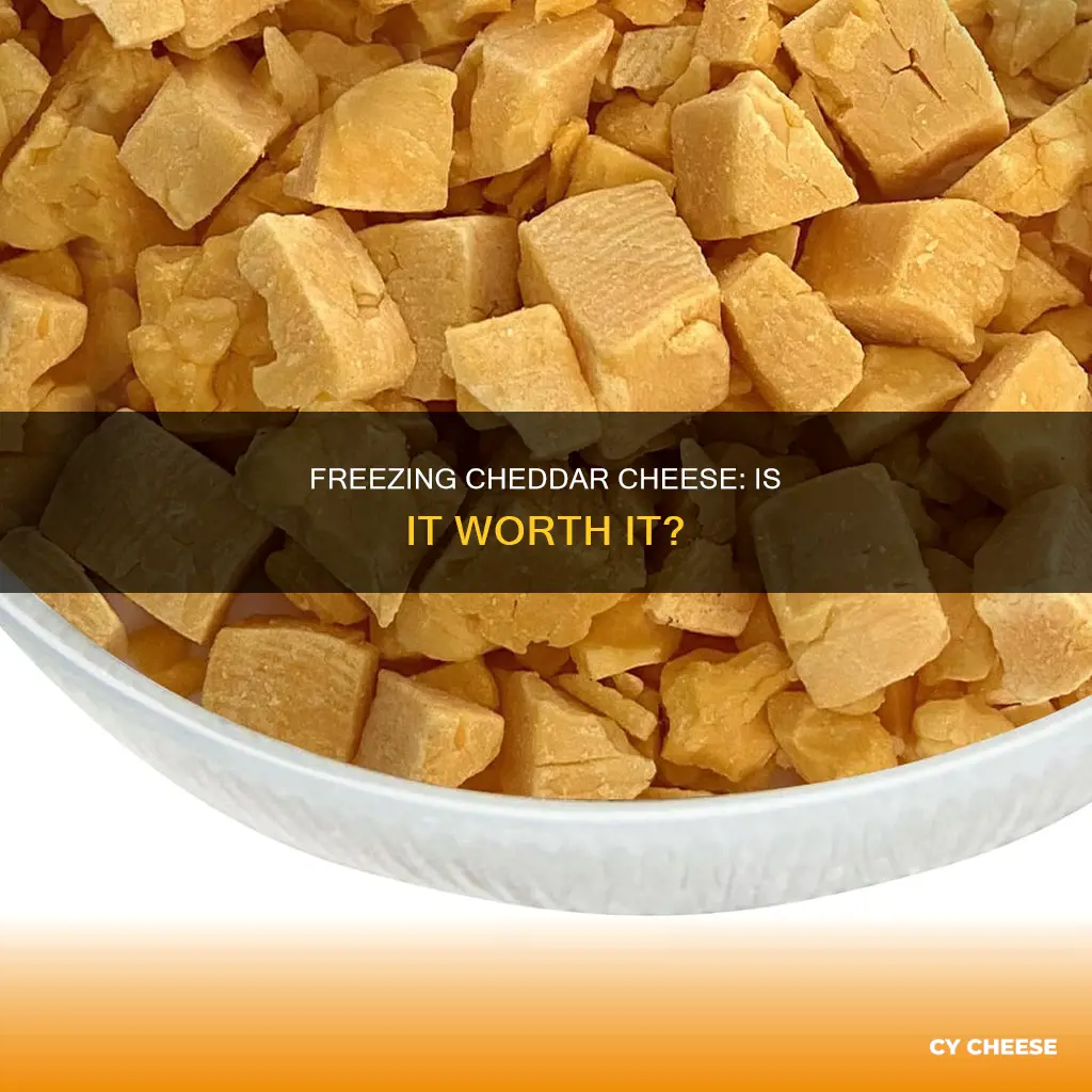 is it ok to freeze cheddar cheese