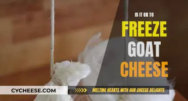 Freezing Goat Cheese: Is It Possible and Safe?