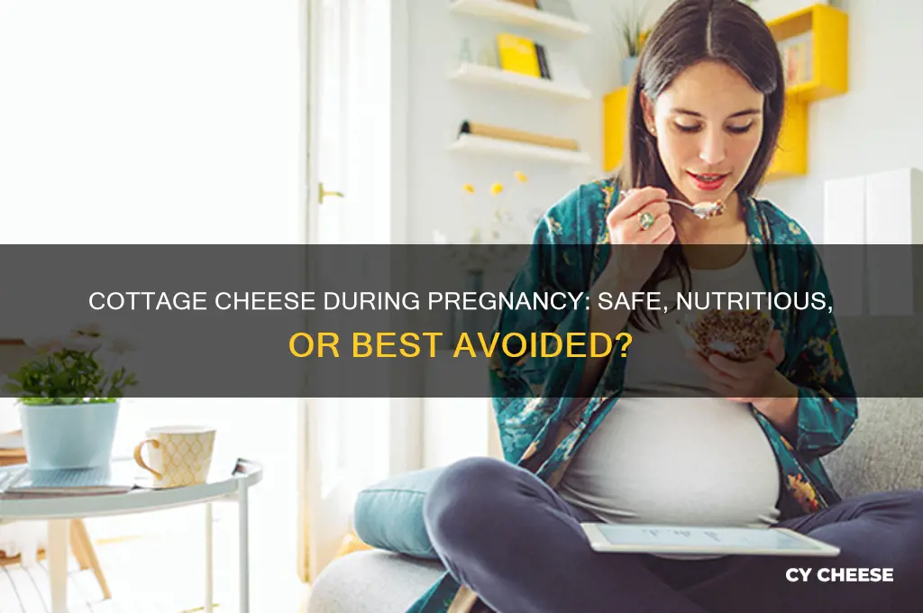 is it ok to have cottage cheese while pregnant