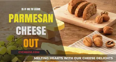 Leaving Parmesan Cheese Out: Is It Safe?
