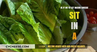 Is It Safe to Leave Nacho Cheese Unrefrigerated for Hours?