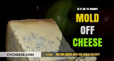 Scraping Mold Off Cheese: Safe Practice or Health Hazard?