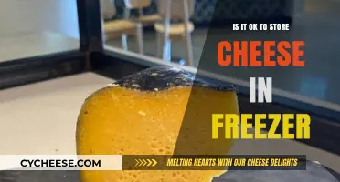 Can Cheese Be Frozen? Tips for Storing Cheese in the Freezer