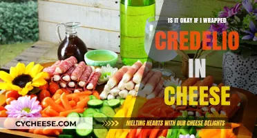 Wrapping Credelio in Cheese: Safe or Risky for Your Pet?