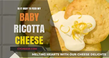 Can Babies Eat Ricotta Cheese? Safety and Nutritional Insights