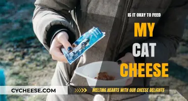Can Cats Eat Cheese? Understanding the Risks and Benefits