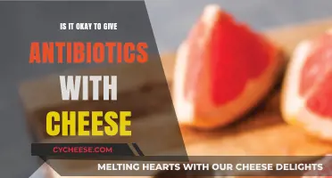 Antibiotics and Cheese: Safe Combination or Risky Mix?