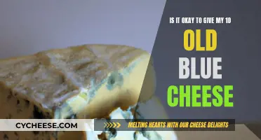 Blue Cheese and Kids: Is It Safe?