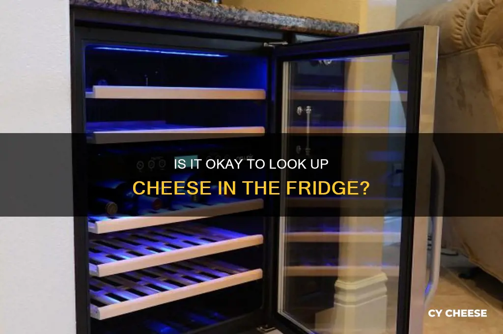 is it okay to look up cheese in the fridge