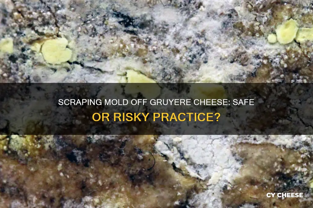is it okay to scrape the mold off gruyere cheese
