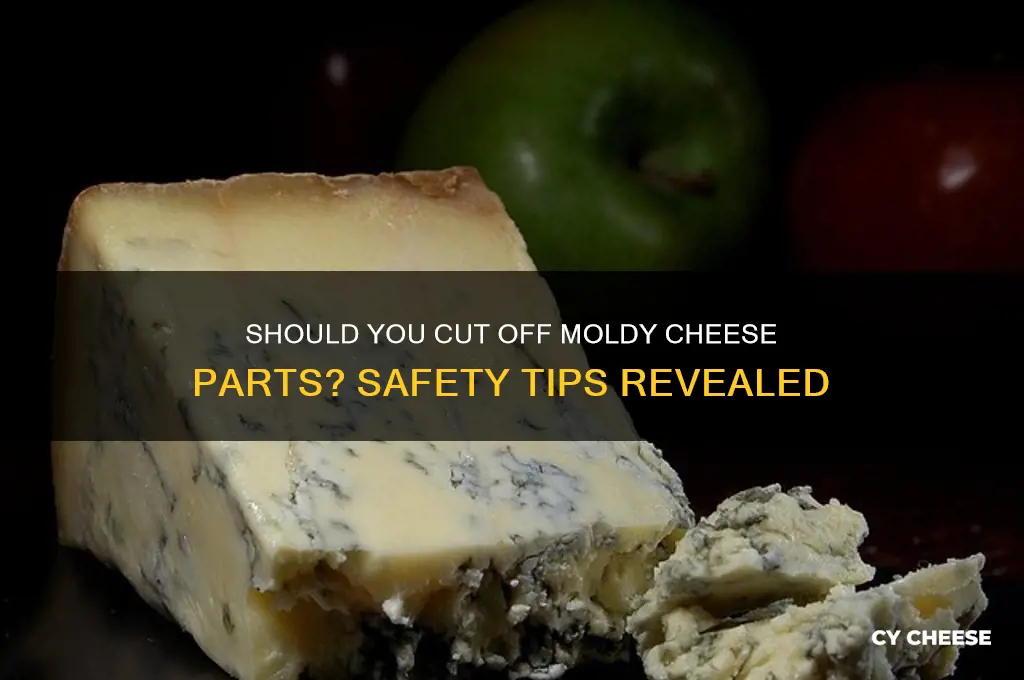 is it okay to take off moldy part of cheese